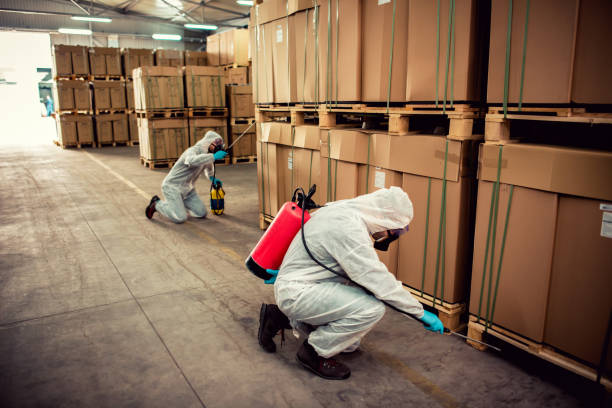 Best Local Pest Control Services  in Loma, CO