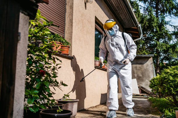 Professional Pest Control in Loma, CO