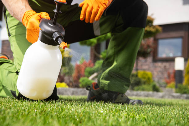 Best Affordable Pest Control Services  in Loma, CO