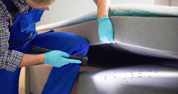 Best Ant Control Services  in Loma, CO