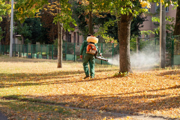 Professional Pest Control in Loma, CO