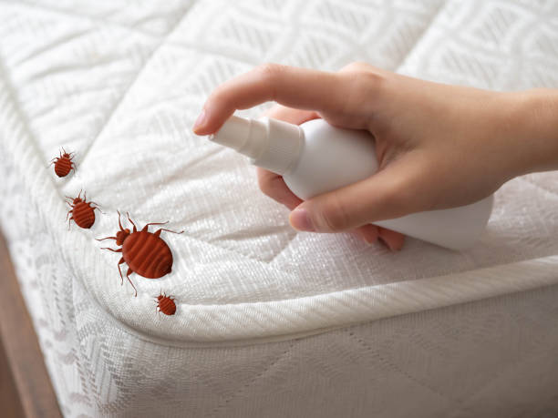 Best Best Pest Control Companies  in Loma, CO