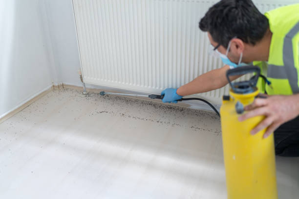 Best Pest Prevention Services  in Loma, CO